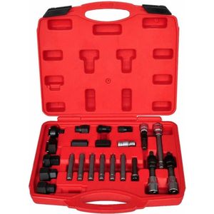 vidaXL Dynamo pulley verwijderingsset 22-delig