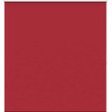 vidaXL - Rolgordijn - verduisterend - 160 - x - 175 - cm - rood
