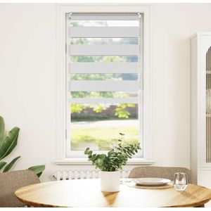 vidaXL-Duo-Rolgordijn-40x100cm-Wit