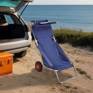vidaXL Strandtrolley - Blauw - Draagbaar - Inklapbaar - 80 kg Draagvermogen