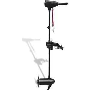 vidaXL Elektrische buitenboordmotor P37 86 lbs