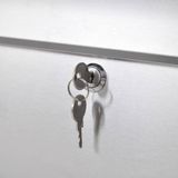 vidaXL - Brievenbus op Standaard - Roestvrij Staal - Inclusief Sleutels en Krantenhouder