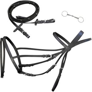 Leder Trense Trensenzaum mit Zügeln und Gebiß schwarz Pony Vidaxl