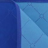 VidaXL Picknickkleed 100x150 cm Blauw/Lichtblauw