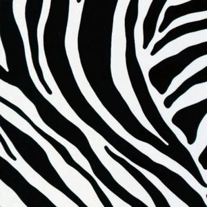 Decoratie plakfolie meubelfolie Zebra 45 cm x 2 meter zelfklevend - Decoratiefolie - Plakplastic - Raamfolie