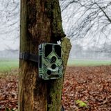 Caruba - Wildcamera Toad - Full HD - Weersbestendig - Kleur TFT LCD Display