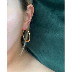 Casa Jewelry - Oorbellen TK.0017.60 - Zilver - Verguld