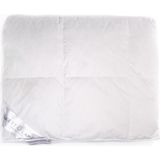 Heckett & Lane Silver - Dons - Dekbed - Tweepersoons - 200x200 cm - Wit