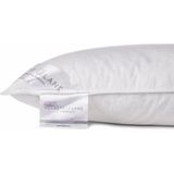 Heckettlane - Hoofdkussen - 60x70 cm - Slaapkussen met Veren en Dons - Koel Kussen - Voor Rug-, Zijslaper en Buikslaper