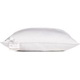 Heckettlane Hoofdkussen - Slaapkussen met Synthetische vulling - Anti allergie kussen - 60x70 cm - Voor Rug-, Zijslaper en Buikslaper - 1 Stuks