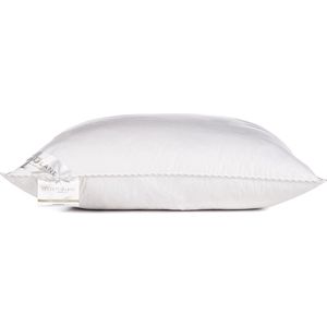 Heckettlane Hoofdkussen - Slaapkussen met Synthetische vulling - Anti allergie kussen - 60x70 cm - Voor Rug-, Zijslaper en Buikslaper - 1 Stuks