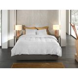 Heckettlane - Franela - Dekbedovertrek - Grijs - 100% Katoen-Flanel