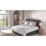 Yellow - Suite Kerala - Dekbedovertrek - Blanc de Blanc - Katoen - 2-persoons