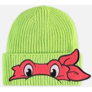 Teenage Mutant Ninja Turtles Kinder beanie Raphael Novelty Groen