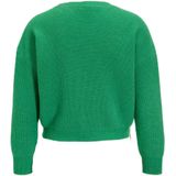 LOVE2WAIT - Trui - Groen - Effen - Lange Mouw - Normale Pasvorm