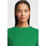 LOVE2WAIT - Trui - Groen - Effen - Lange Mouw - Normale Pasvorm