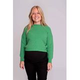 LOVE2WAIT - Trui - Groen - Effen - Lange Mouw - Normale Pasvorm