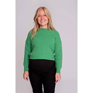 LOVE2WAIT - Trui - Groen - Effen - Lange Mouw - Normale Pasvorm