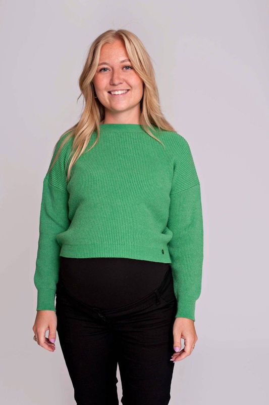 LOVE2WAIT - Trui - Groen - Effen - Lange Mouw - Normale Pasvorm