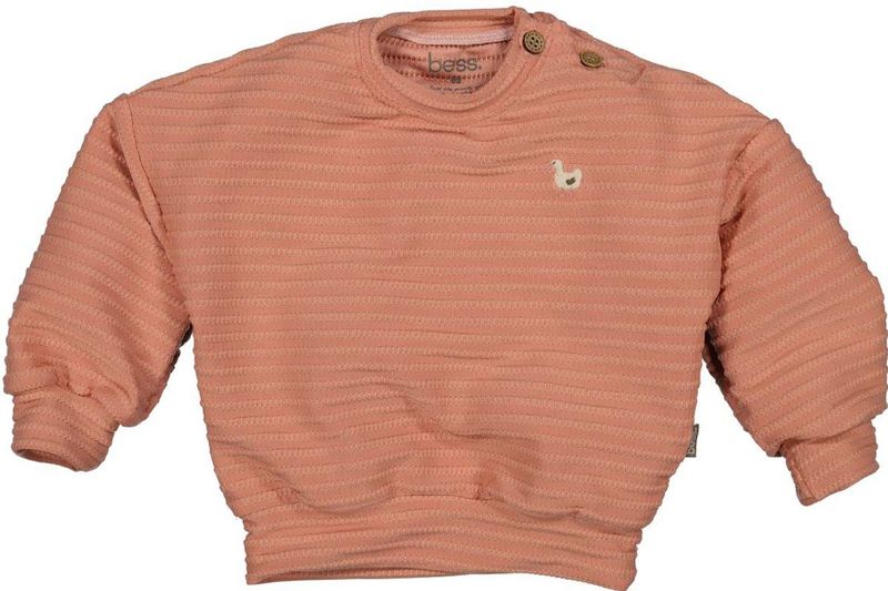 BESS - Sweater - Meisjes - Zacht - Ronde Hals