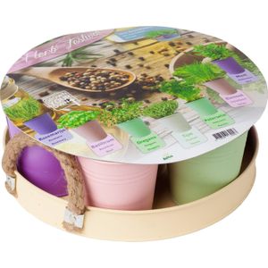 Herbs Festival pastel (rond)