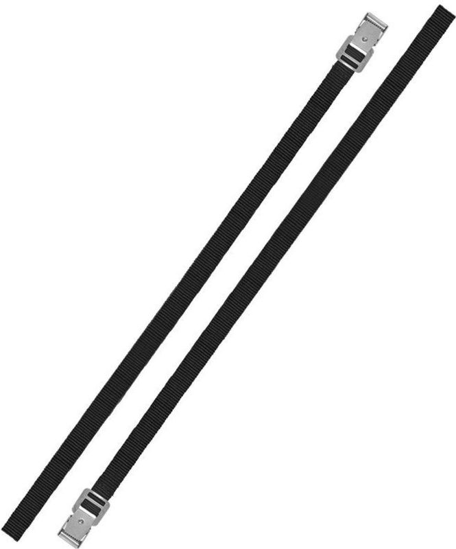 ProPlus Bindriemen met metalen gesp - 18 mm x 200 cm - zwart - set van 2