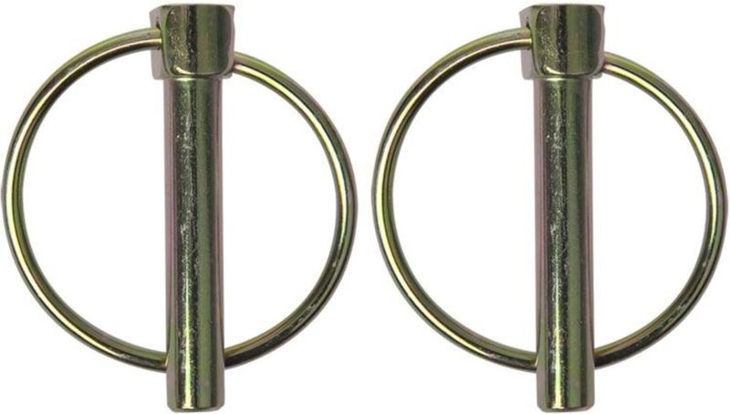 ProPlus - Borgpen - Ø 8 mm - Ø 38 mm Ring - 2 Stuks - Robuust Staal