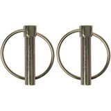 ProPlus - Borgpen - Ø 10 mm - met Ø 39 mm Ring - 2 Stuks - Robuust Staal - Zilver