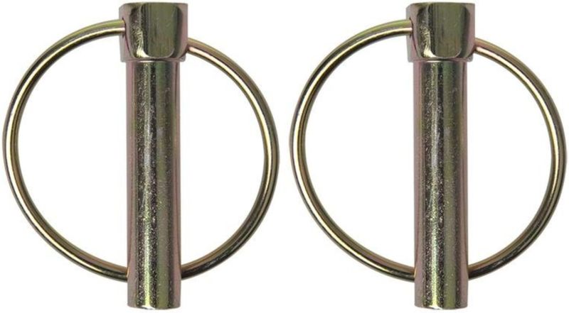 ProPlus - Borgpen - Ø 10 mm - met Ø 39 mm Ring - 2 Stuks - Robuust Staal - Zilver