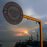 ProPlus - Reflecterend 3M Tape - Oranje - 50 mm breed - 2 meter lang