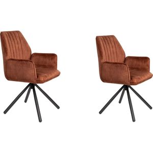 Feliz Lifestyle Jamie Eetkamerstoelen met armleuning Rust/ Bruin - Set van 2