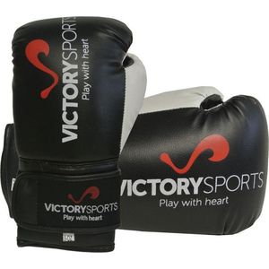 Victory Sports Victorian (kick)bokshandschoenen 12 oz
