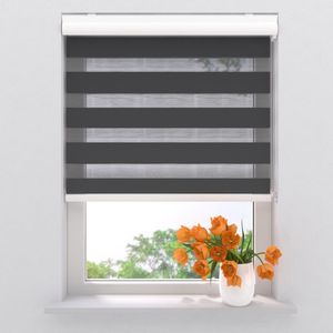Duo Rolgordijn Splendid Lichtdoorlatend Black
