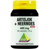 SNP Artisjok en heermoes puur 60 capsules