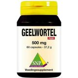 SNP Geelwortel curcuma 500 mg puur 60 capsules