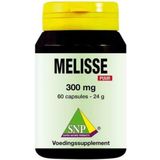 SNP Melisse 300 mg puur  60 capsules