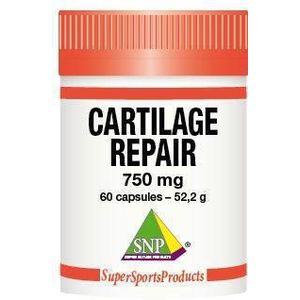 SNP Cartilage repair 750 mg puur 60ca