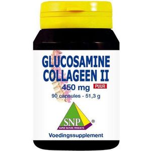 SNP Glucosamine collageen type II puur 90 capsules