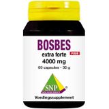 SNP Bosbes extra forte 4000 mg puur  60 capsules