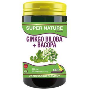 Kruidenpreparaat - Ginkgo Biloba - 120 mg - Vegetarische Capsules