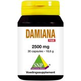 Damiana extract 2500 mg puur