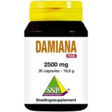 Damiana extract 2500mg puur