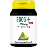 SNP EGCG+ puur 60 capsules