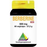 SNP Berberine 500mg puur 60 Vegicaps