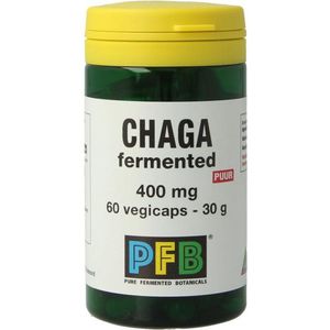 SNP Chaga fermented 400 mg puur  60 Vegetarische capsules |
