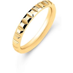 Melano Friends Ring Emmy Goud