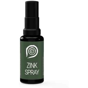 The Health Factory - Nano Zink Spray - 15 ml - Zink