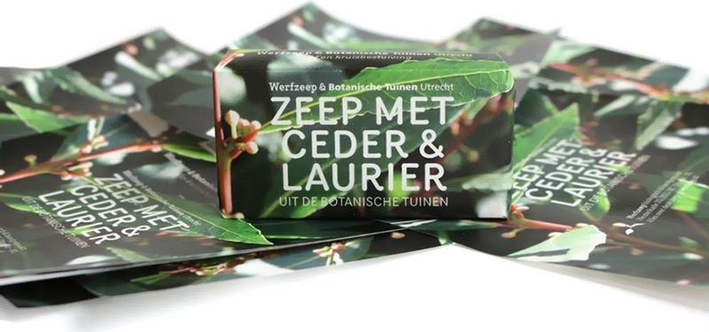 Handzeep - Libanonceder - Laurierblad - Botanische Tuinen