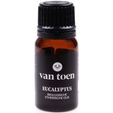 Biologische etherische olie Eucalyptus - 10ml - Van Toen