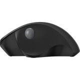 Qware - Luton - Ergonomische Muis - Draadloos - Zwart - 1600 DPI